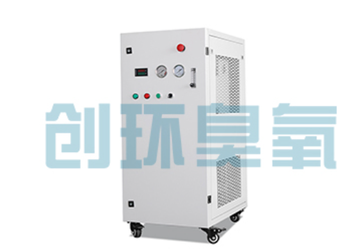 连云港石斑鱼养殖水质调控完整指南:臭氧发生器配置与操作步骤