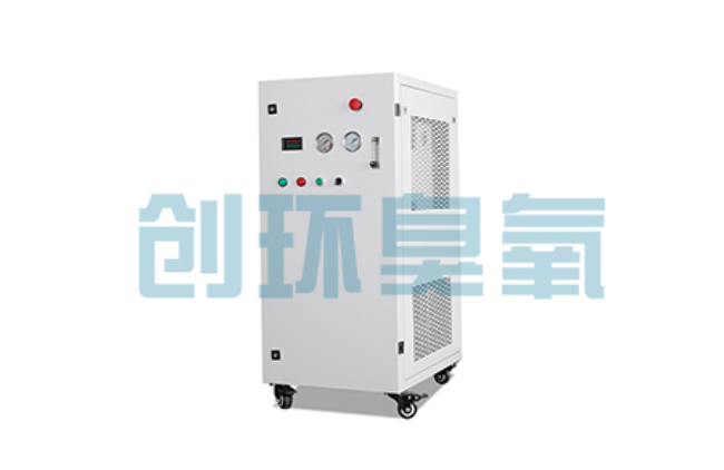 连云港比传统换水更高效?臭氧发生器在石斑鱼养殖中的水质净化原理解析