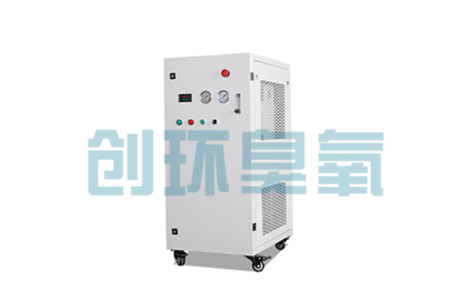 连云港比传统换水更高效?臭氧发生器在石斑鱼养殖中的水质净化原理解析